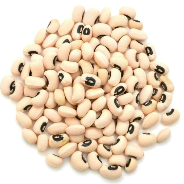 لوبيا سودانية