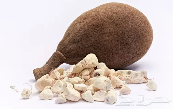 قونقليز عادي